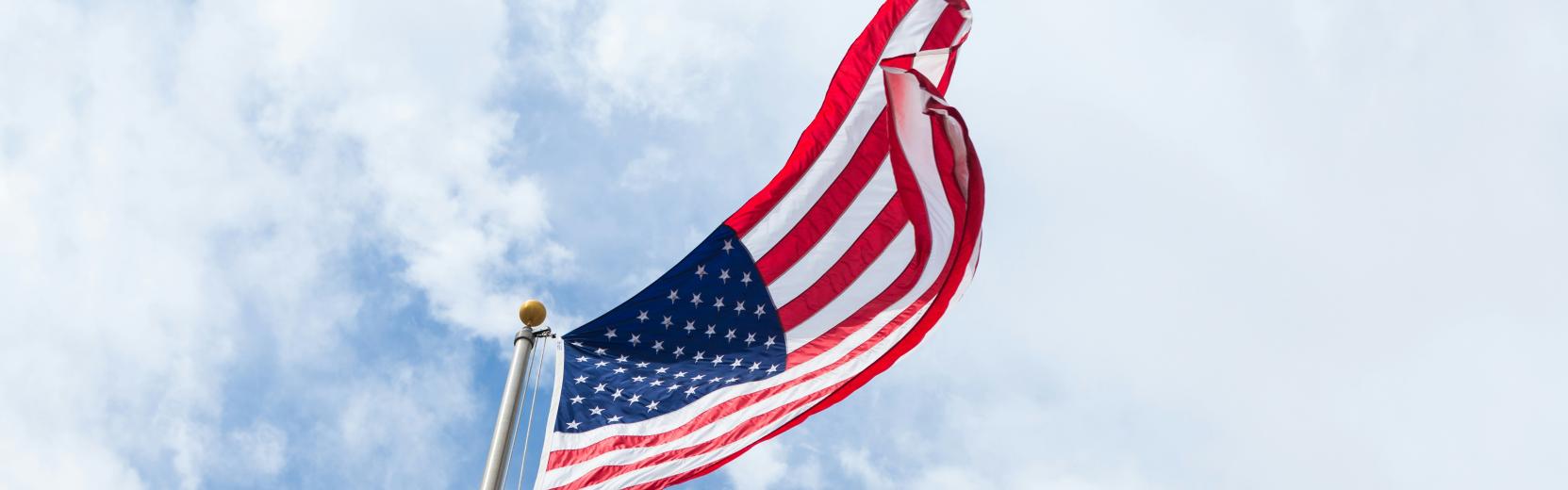 Det amerikanske flag