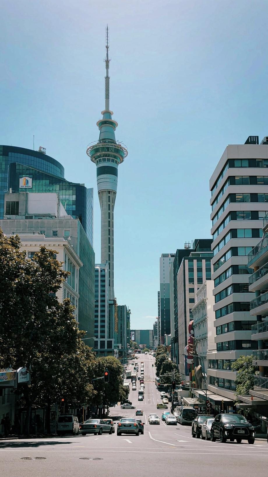 gade i Auckland med Skytower, biler og højhus